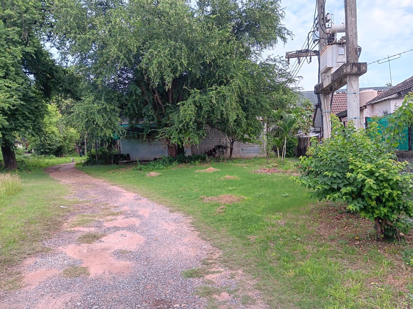 ขายที่ดินสวยๆ-แหล่งทำเลทอง-พื้นที่โซนสีชมพู-เป็นรูปสี่เหลี่ยมผืนผ้า