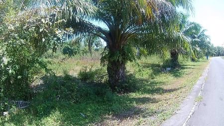 ขาย-ที่ดิน-เปล่า-ถมแล้ว-ทำเลทอง-ศูนย์ราชการหัวไทร-187-ตรวา