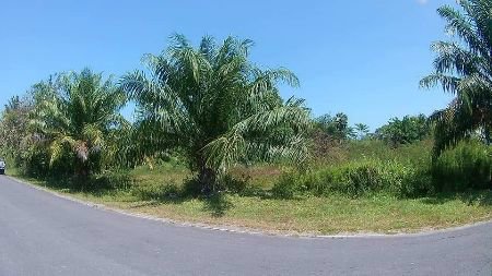 ขาย-ที่ดิน-เปล่า-ถมแล้ว-ทำเลทอง-ศูนย์ราชการหัวไทร-187-ตรวา