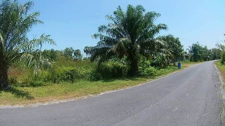 ขาย-ที่ดิน-เปล่า-ถมแล้ว-ทำเลทอง-ศูนย์ราชการหัวไทร-187-ตรวา