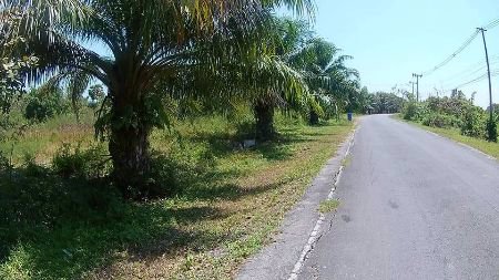 ขาย-ที่ดิน-เปล่า-ถมแล้ว-ทำเลทอง-ศูนย์ราชการหัวไทร-187-ตรวา