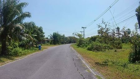 ขาย-ที่ดิน-เปล่า-ถมแล้ว-ทำเลทอง-ศูนย์ราชการหัวไทร-187-ตรวา