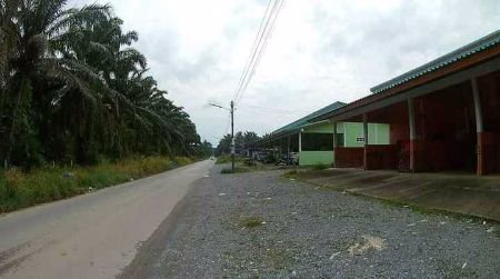 ขาย-ที่ดิน-เปล่า-แบ่งขาย-ใกล้โรงพยาบาล-สถานีตำรวจ-120-ตรวา