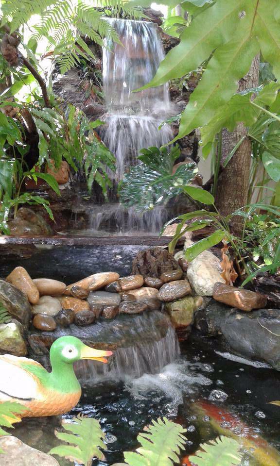 ให้เช่า-ด่วน-บ้านเดี่ยว2ชั้น-54ตรว-อยู่ถราชพฤกษ์-พระราม5-มานะ081-4306542