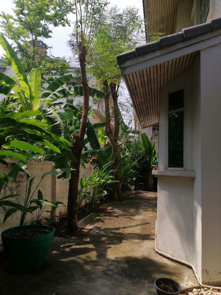 ให้เช่า-ด่วน-บ้านเดี่ยว-2ชั้น-105-ตรว-อยู่ถนน-ลาดพร้าว87-หรือเลียบทางด่วนรามอินทรา-ใกล้cdc