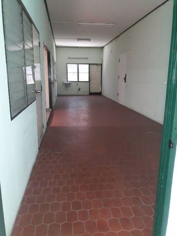 ให้เช่า-ด่วน-บ้านเดี่ยว2ชั้น-พร้อมบ้านเดี่ยวชั้นเดียวอีก1หลัง-พื้นที่350-ตรว-อยู่ถนนสุทธิสาร