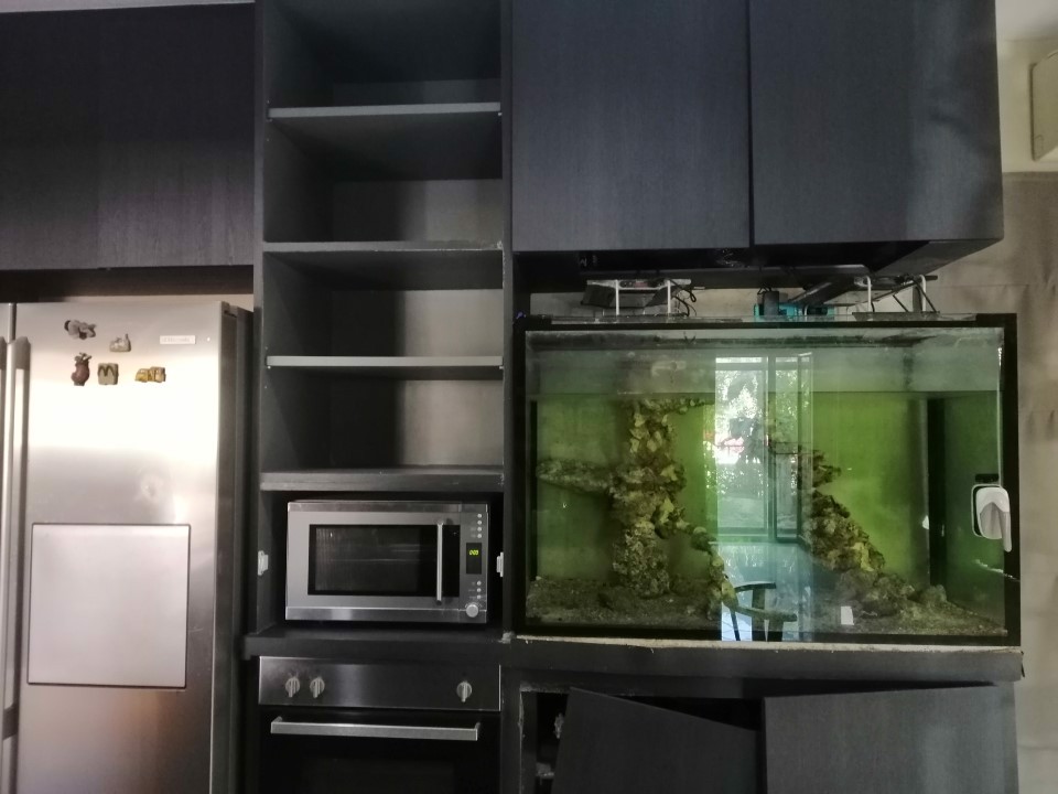 ให้เช่า-บ้านเดี่ยว2ชั้น-67-ตรว-ถนน-กาญจนาภิเษก-ซอยวัดพระนอน-ใกล้บางใหญ่-บางบัวทอง-ให้เช่า25000