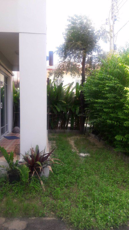 ให้เช่า-ด่วน-บ้านเดี่ยว2ชั้น-56ตรว-ถนน-วิภาวดี-ใกล้ฐานทัพอากาศ-ดอนเมือง-ให้เช่า18000-เดือน