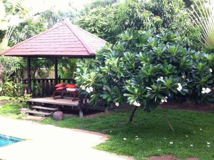 ให้เช่า-ด่วน-บ้านเดี่ยว2ชั้น-ตกแต่งสไตล์บาหลี-1ไร่กับ74ตรวถนนศรีนครินทร์45