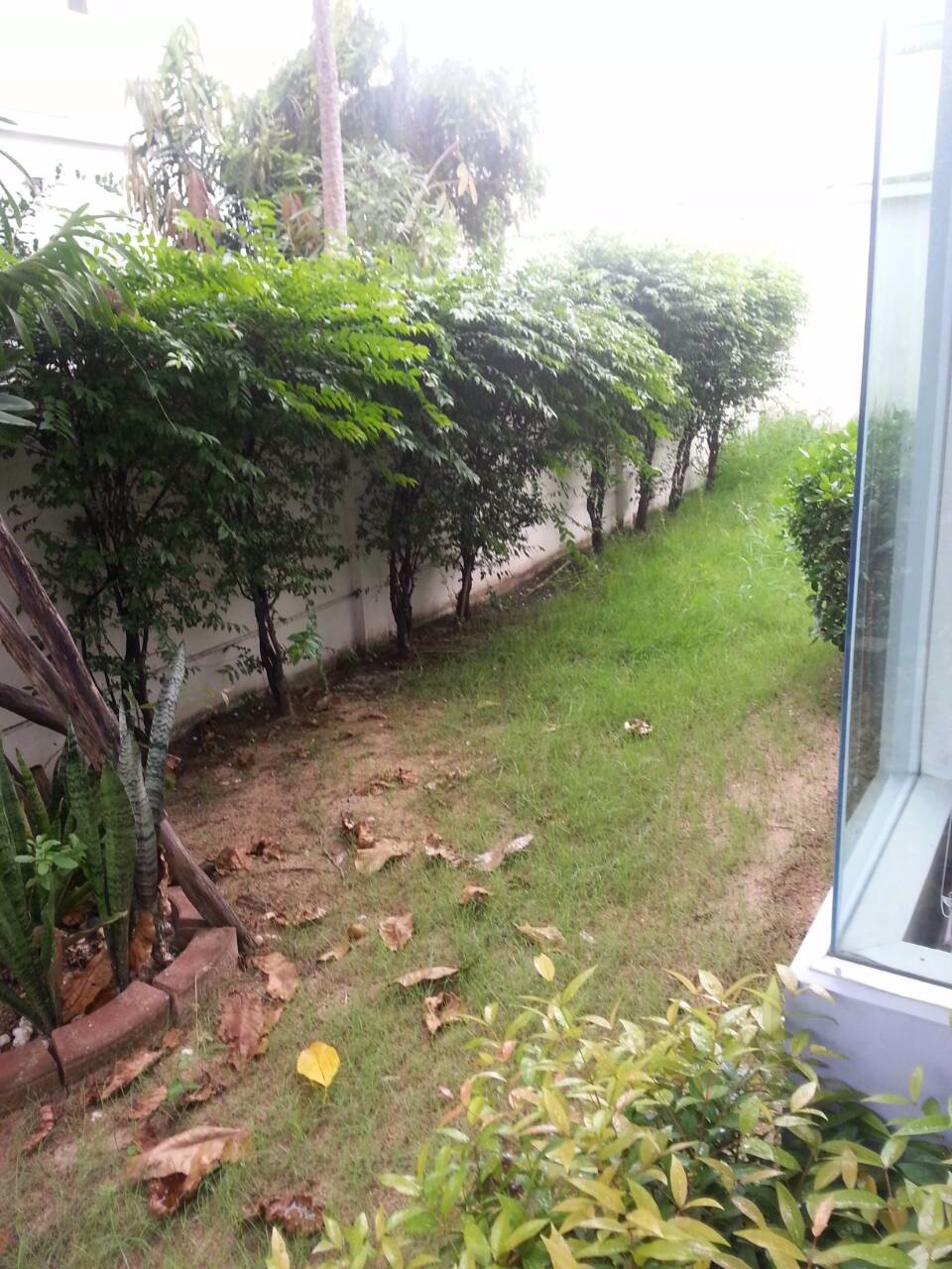 ให้เช่า-ขาย-บ้านเดี่ยว2ชั้น-สภาพใหม่และสวย-56ตรว-ถนนแจ้งวัฒนะ-ใกล้สะพานพระราม4-ปากเกร็ด