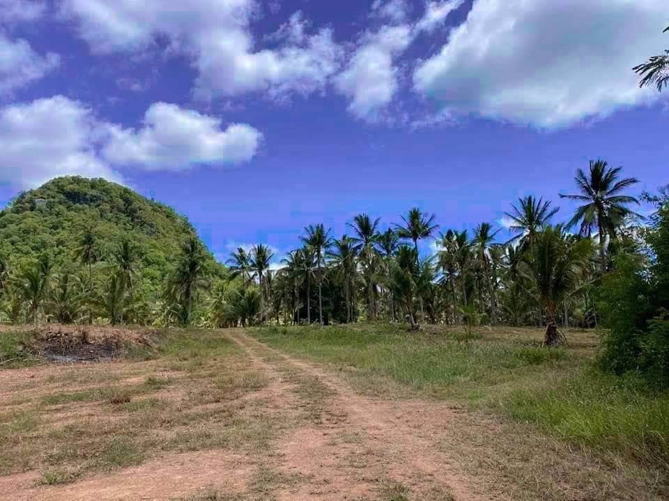 มาตามคำเรียกร้องจ้า-ที่ดินวิวทะเลมาแล้วจ้า-ใกล้ชายหาดเพียง-350-ม