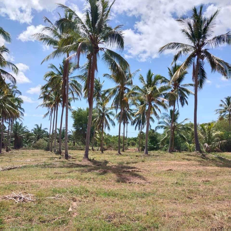 มาตามคำเรียกร้องจ้า-ที่ดินวิวทะเลมาแล้วจ้า-ใกล้ชายหาดเพียง-350-ม