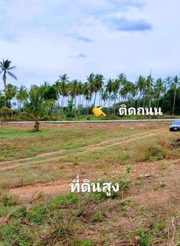 มาตามคำเรียกร้องจ้า-ที่ดินวิวทะเลมาแล้วจ้า-ใกล้ชายหาดเพียง-350-ม