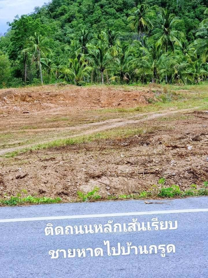 มาตามคำเรียกร้องจ้า-ที่ดินวิวทะเลมาแล้วจ้า-ใกล้ชายหาดเพียง-350-ม
