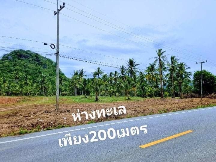 มาตามคำเรียกร้องจ้า-ที่ดินวิวทะเลมาแล้วจ้า-ใกล้ชายหาดเพียง-350-ม