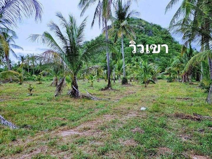 มาตามคำเรียกร้องจ้า-ที่ดินวิวทะเลมาแล้วจ้า-ใกล้ชายหาดเพียง-350-ม