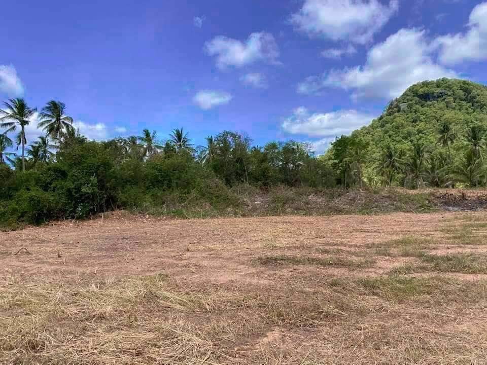 มาตามคำเรียกร้องจ้า-ที่ดินวิวทะเลมาแล้วจ้า-ใกล้ชายหาดเพียง-350-ม