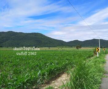 ขายที่ดิน-ติดถนนลาดยาง-วิวภูเขา-น้ำไม่ท่วม-ตพระนอน-อเมืองนครสวรรค์