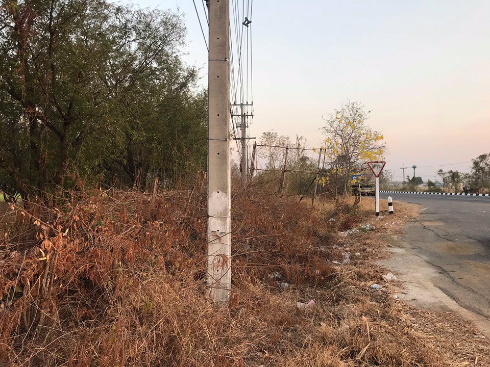 ขายด่วน-ที่ดิน-เพชรบูรณ์-น่าลงทุน-จำนวน-40-ไร่-3-งาน-8410-ตรว-ติดถนนหลัก-สระบุรี-หล่มสัก