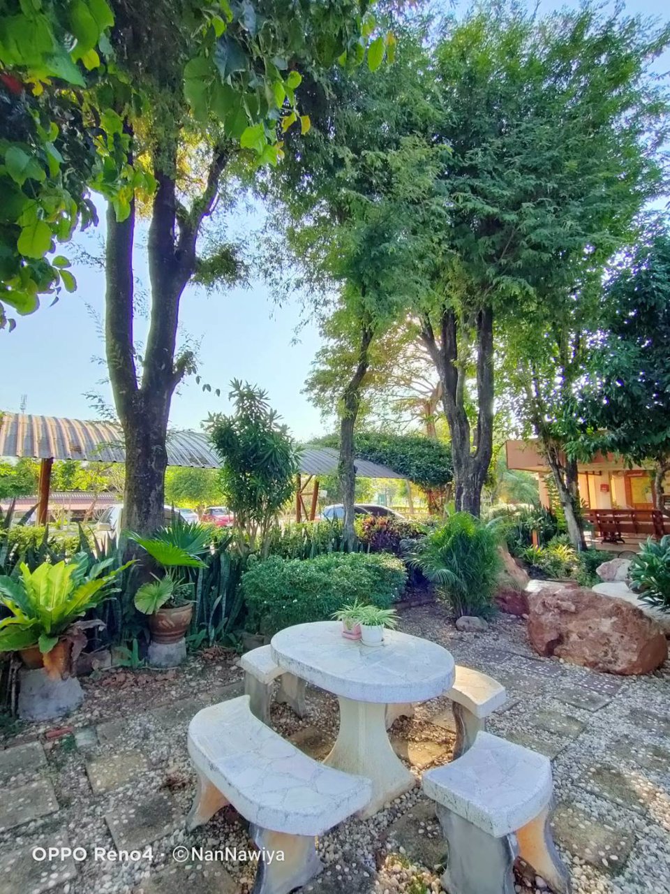 ขาย-บ้านริมน้ำรีสอร์ท-พื้นที่จำนวน-7-ไร่-2-งาน-554-ตารางวา