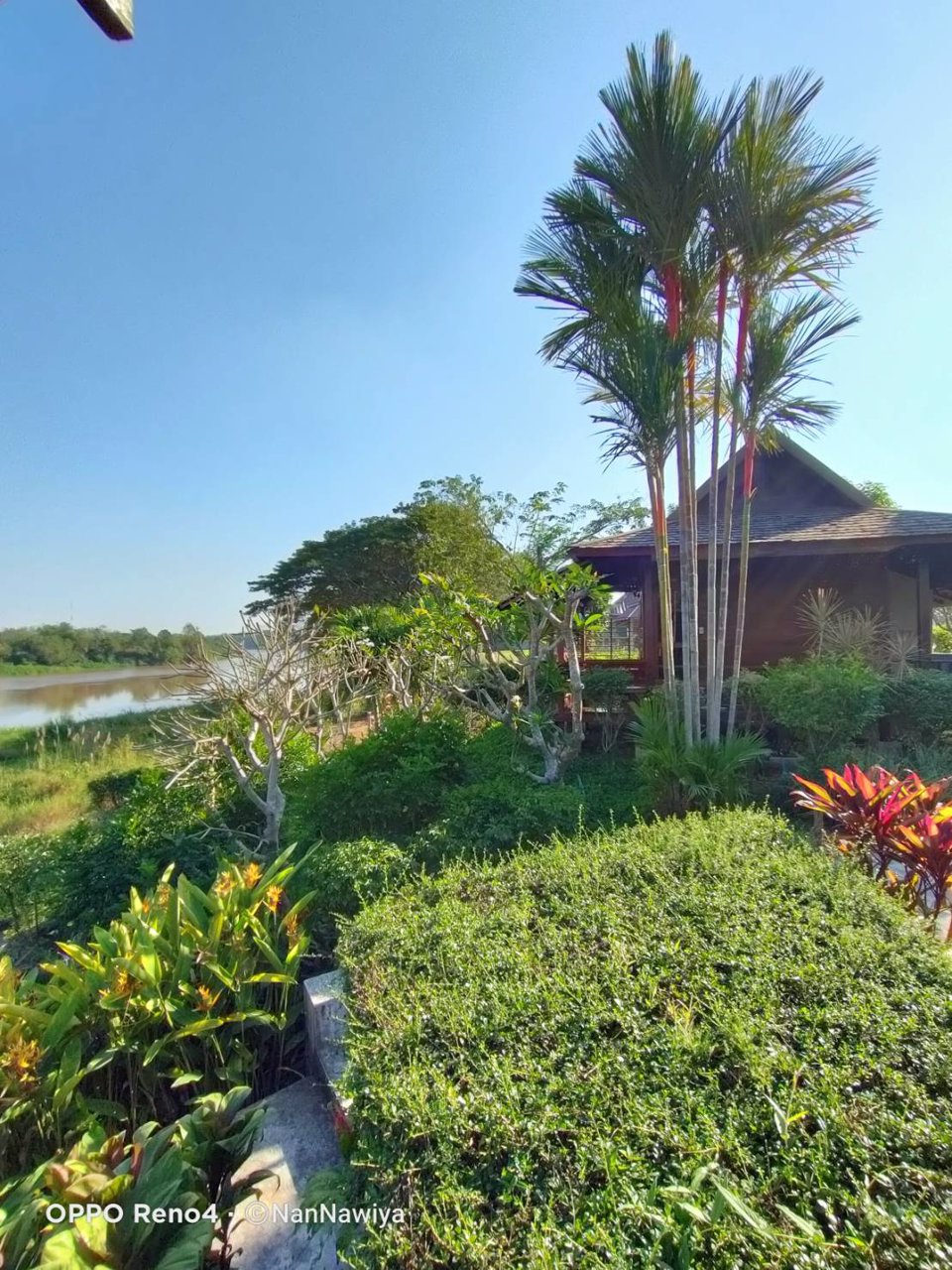 ขาย-บ้านริมน้ำรีสอร์ท-พื้นที่จำนวน-7-ไร่-2-งาน-554-ตารางวา