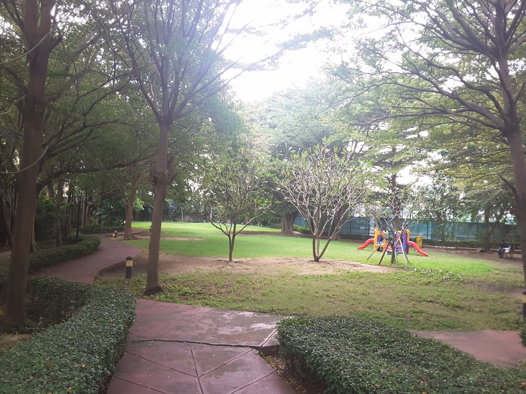 คอนโดเดอะวอเตอร์ฟอร์ด-สุขุมวิท-50-the-waterford-sukhumvit-50-ห้องสตูดิโอ-ใกล้-bts-อ่อนนุช