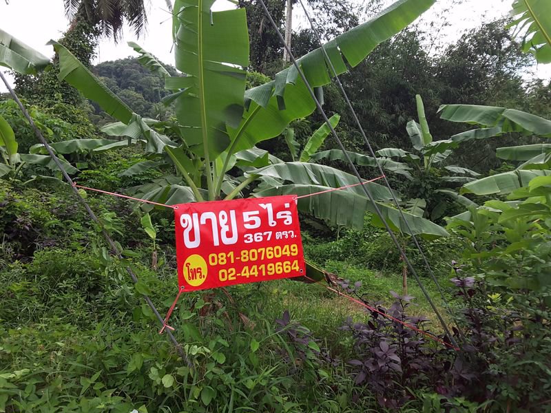 ที่ดินเกาะยอ-สงขลา-3-แปลง-5-ไร่-3-งาน-676-ตรวา-ติดถนน-land-on-yor-island-song-kla-province