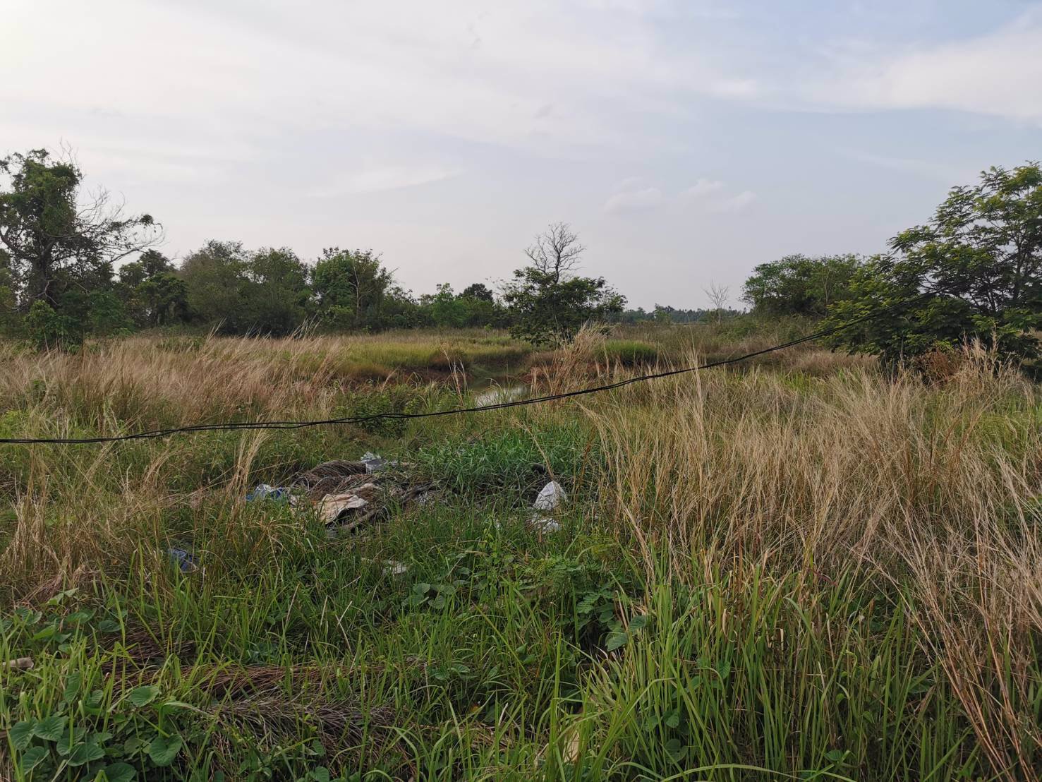 ขายที่ดินสวย-ติดถนนใหญ่-อำเภอบ้านผือ-จังหวัดอุดรธานี