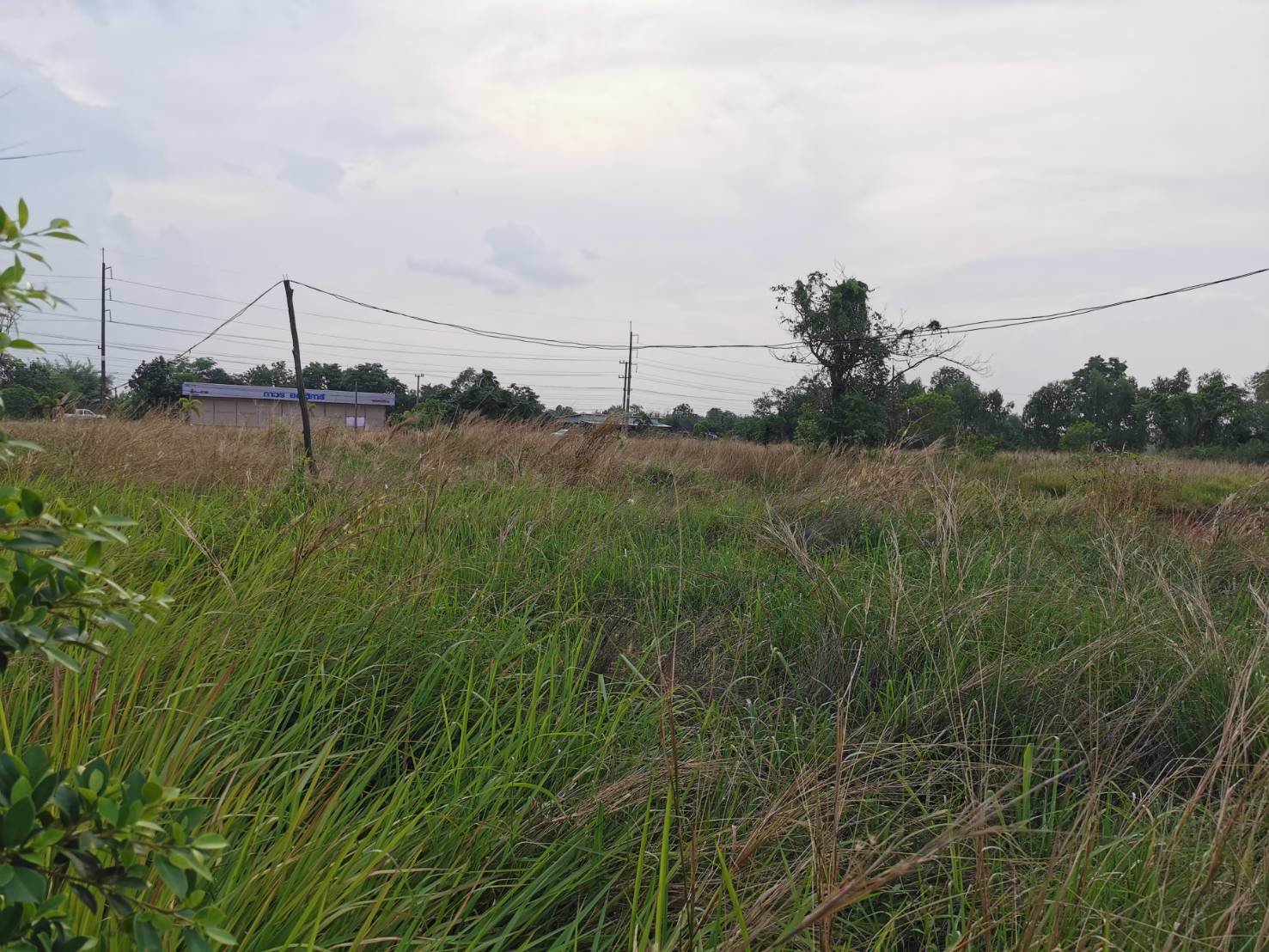 ขายที่ดินสวย-ติดถนนใหญ่-อำเภอบ้านผือ-จังหวัดอุดรธานี