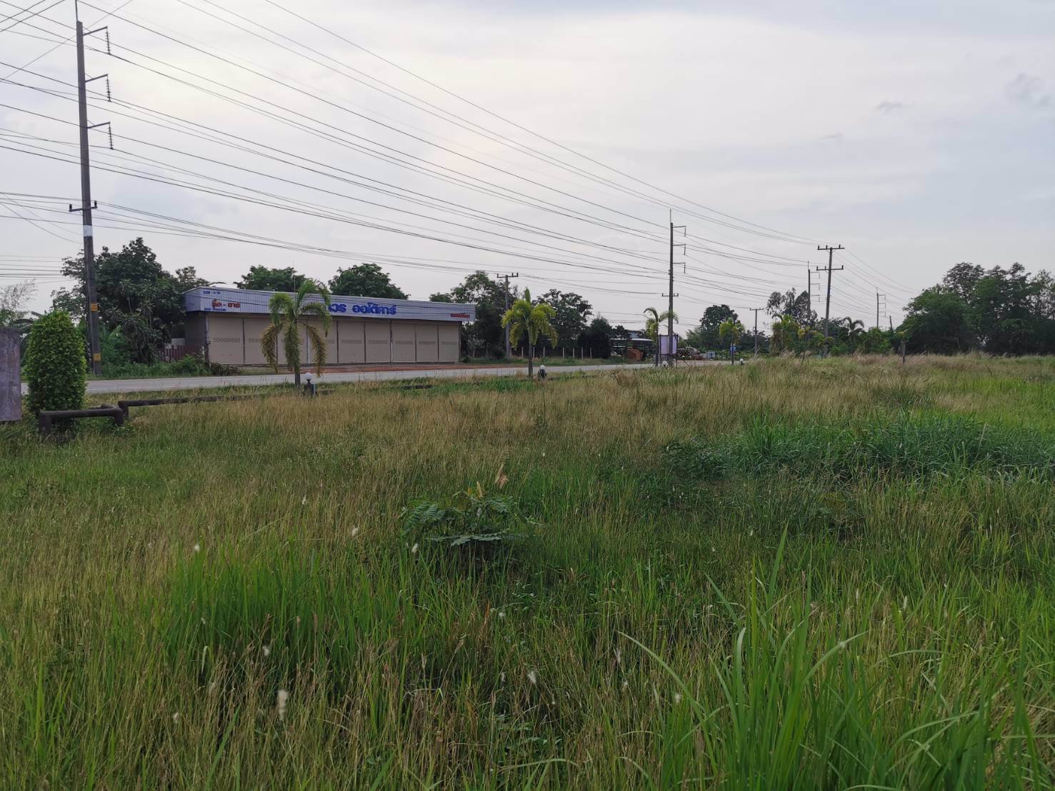 ขายที่ดินสวย-ติดถนนใหญ่-อำเภอบ้านผือ-จังหวัดอุดรธานี