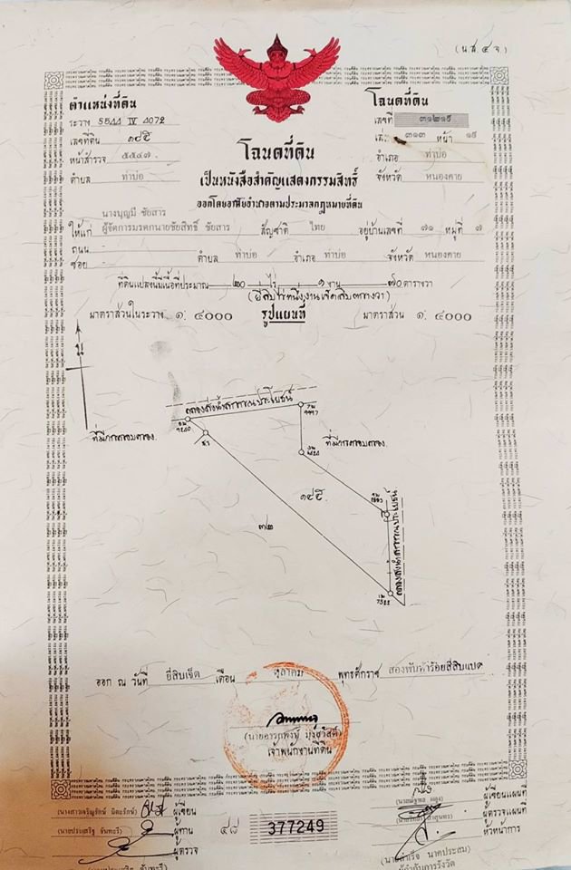 ขายที่ดิน-เนื้อที่-20-ไร่-กว่า-เป็นที่นา-แปลงเกษตร-อำเภอ-ท่าบ่อ-จังหวัด-หนองคาย