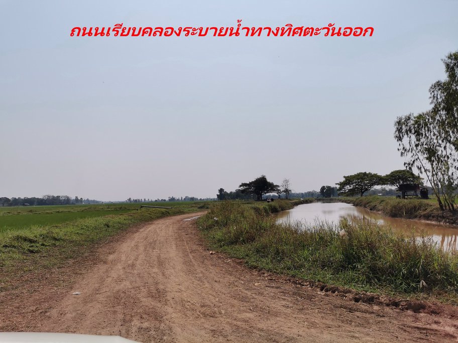 ขายที่ดิน-เนื้อที่-20-ไร่-กว่า-เป็นที่นา-แปลงเกษตร-อำเภอ-ท่าบ่อ-จังหวัด-หนองคาย