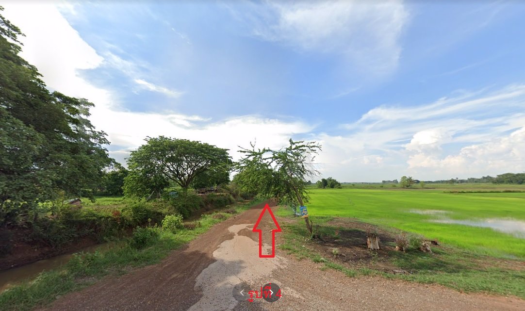 ขายที่ดิน-เนื้อที่-20-ไร่-กว่า-เป็นที่นา-แปลงเกษตร-อำเภอ-ท่าบ่อ-จังหวัด-หนองคาย