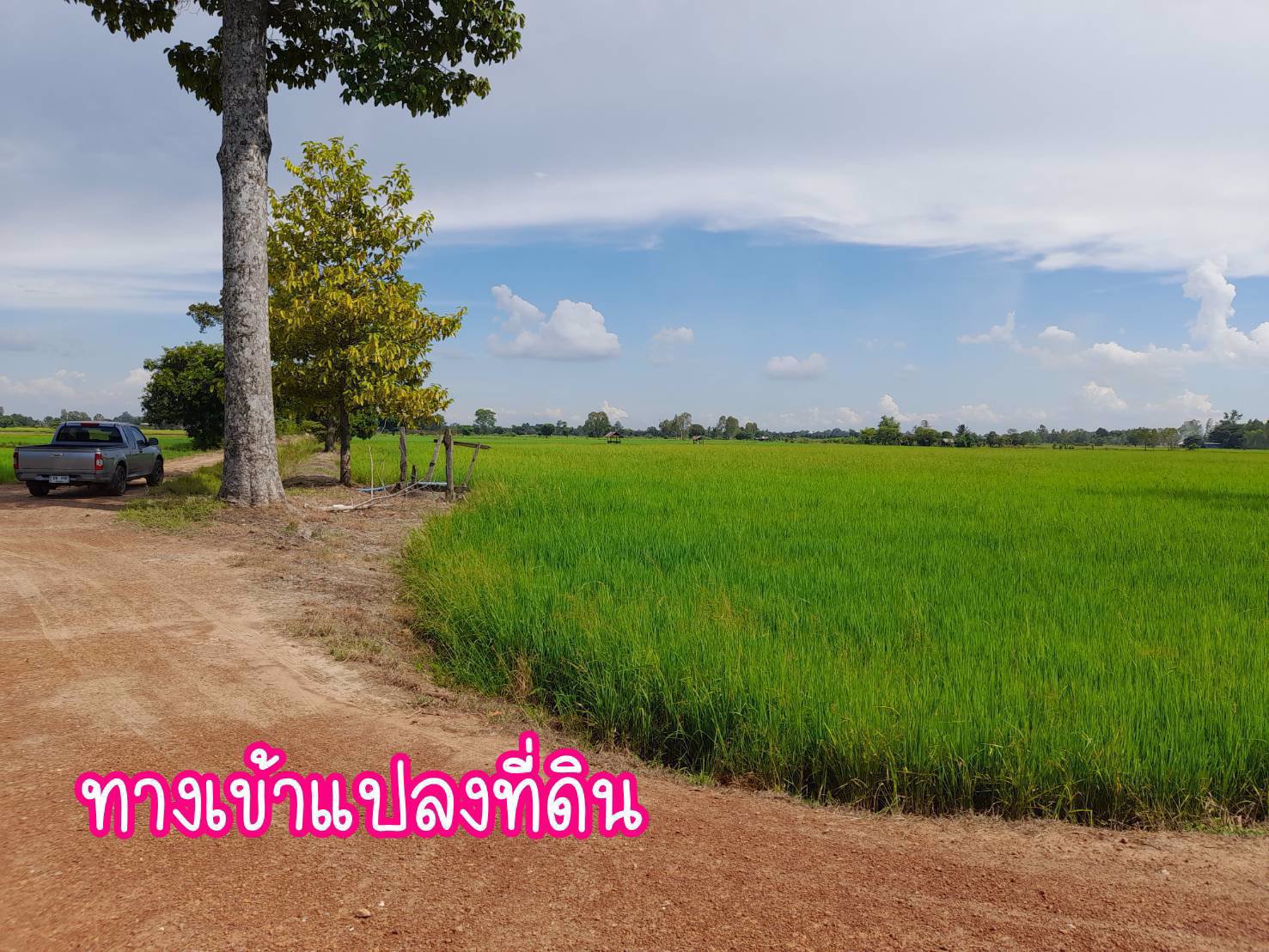 ที่ดินสวยทำเลทองขายยกแปลงเพียง-29-ล้านบาท
