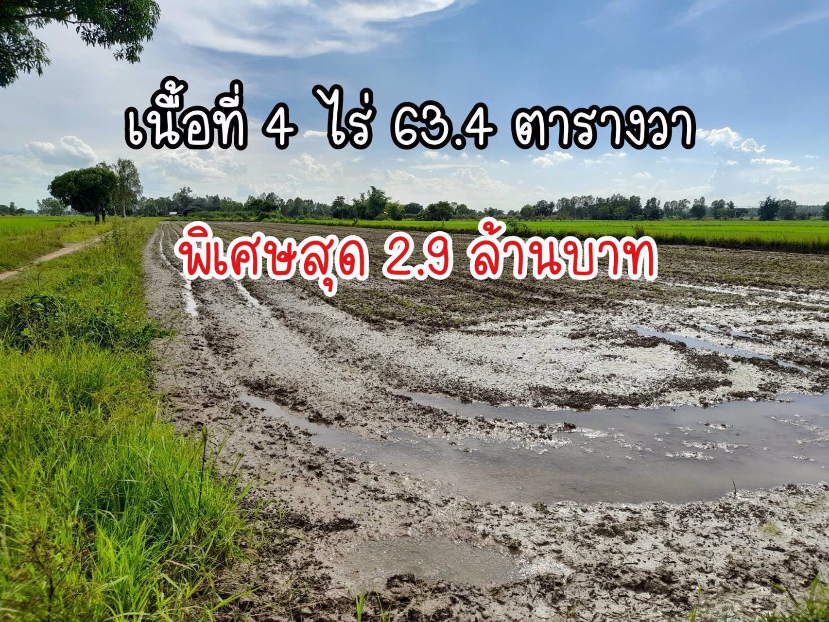 ที่ดินสวยทำเลทองขายยกแปลงเพียง-29-ล้านบาท