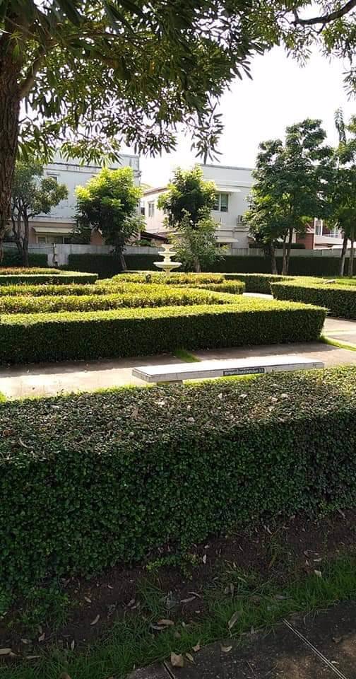 ให้เช่า-ทาวน์เฮ้าส์-เดอะคอนเนค-ดอนเมืองเทิดราชัน-บ้านสวยสภาพดี-ราคา-13000-บาท