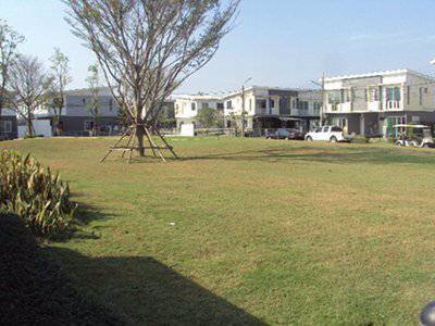 ให้เช่า-ทาวน์เฮ้าส์-the-connect-แบริ่ง-สภาพดี-ทำออฟฟิศจดทะเบียนได้-ราคา-14000-บาท