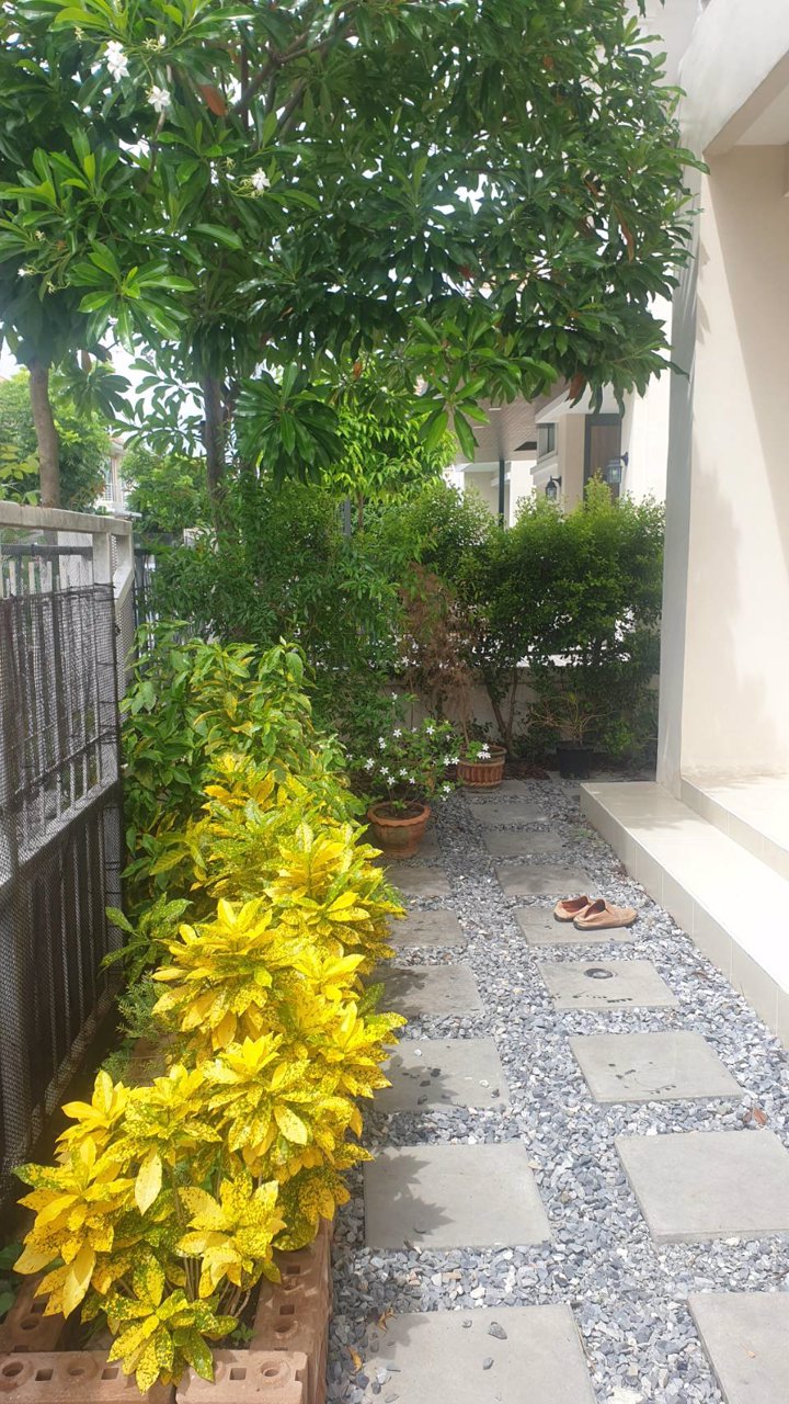 ให้เช่า-บ้านเดี่ยว-บ้านบุรีรมย์-เทพารักษ์-สุวรรณภูมิ-ใกล้แยกคลองขุด-ราคาเพียง-15000-บาท