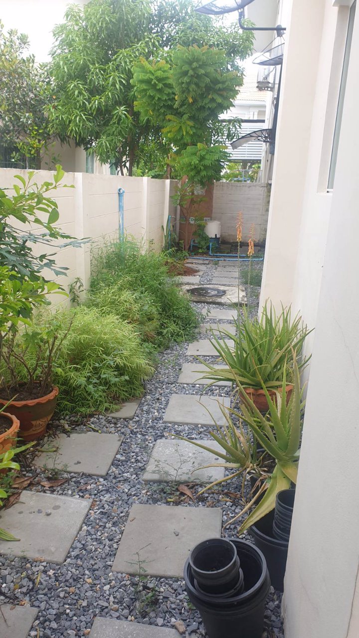 ให้เช่า-บ้านเดี่ยว-บ้านบุรีรมย์-เทพารักษ์-สุวรรณภูมิ-ใกล้แยกคลองขุด-ราคาเพียง-15000-บาท