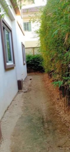 ขาย-ให้เช่า-บ้านเดี่ยว-เอโทล-มัลดีฟส์-บีช-ถนนหนามแดง-เฟอร์ครบ-พร้อมอยู่-ราคา-23000-บาท