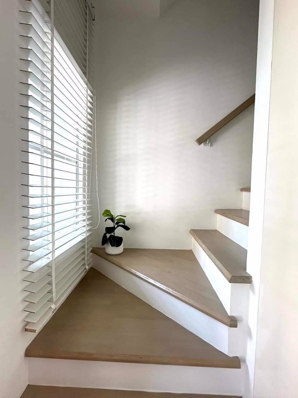 ให้เช่า-ทาวน์โฮม-2-ชั้น-มอินดี้-4-บางนา-กม7-บ้านสวย-ทำเลดี-ใกล้เมกกะ-บางนา-มีเฟอร์นิเจอร์พร