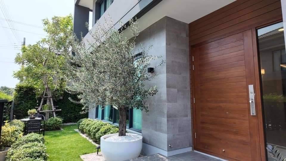 บ้านเดี่ยว-2-ชั้ร-หลังมุม-มthe-city-บางนา-โครงการใหม่-ใกล้เมกกะ-บางนา-บ้านสวย-เฟอร์นืเจอร์ครบ