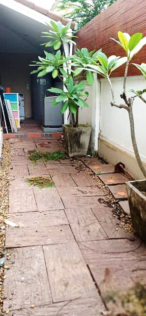 ขายถูก-บ้านเดี่ยว-2-ชั้น-บ้านพฤกษาวิลเลจ-2-หลังมุม-ธัญบุรี