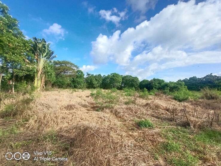 ขายถูก-ที่ดินเปล่า-ถมแล้ว-ถนนประชาร่วมใจซอย-67-ถนนกว้าง