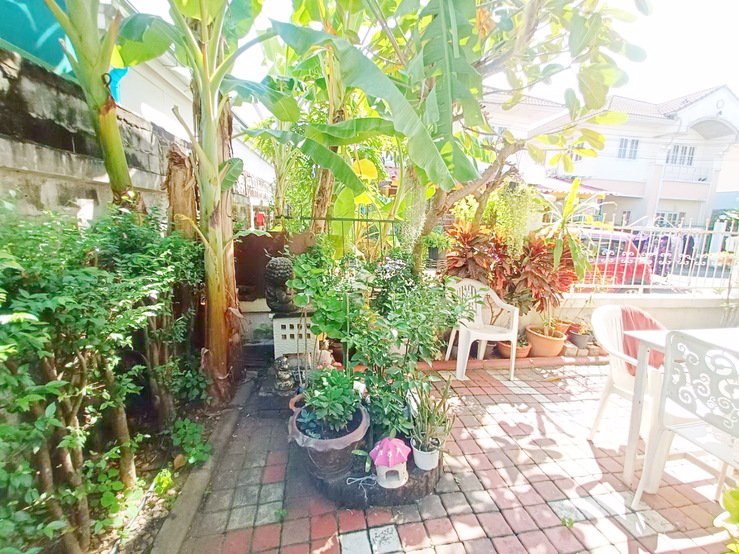 ขายถูกมาก-บ้านเดี่ยว-2-ชั้น-โครงการบุรีรมย์-วงแหวน-ปิ่นเกล้า-ซอยวัดพระเงิน-