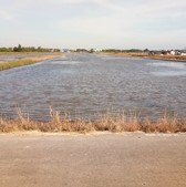 ขายที่ดินเปล่าในถนนลำลูกกาคลอง-9-จังหวัดปทุมธานี