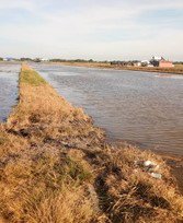 ขายที่ดินเปล่าในถนนลำลูกกาคลอง-9-จังหวัดปทุมธานี