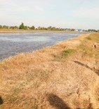 ขายที่ดินเปล่าในถนนลำลูกกาคลอง-9-จังหวัดปทุมธานี