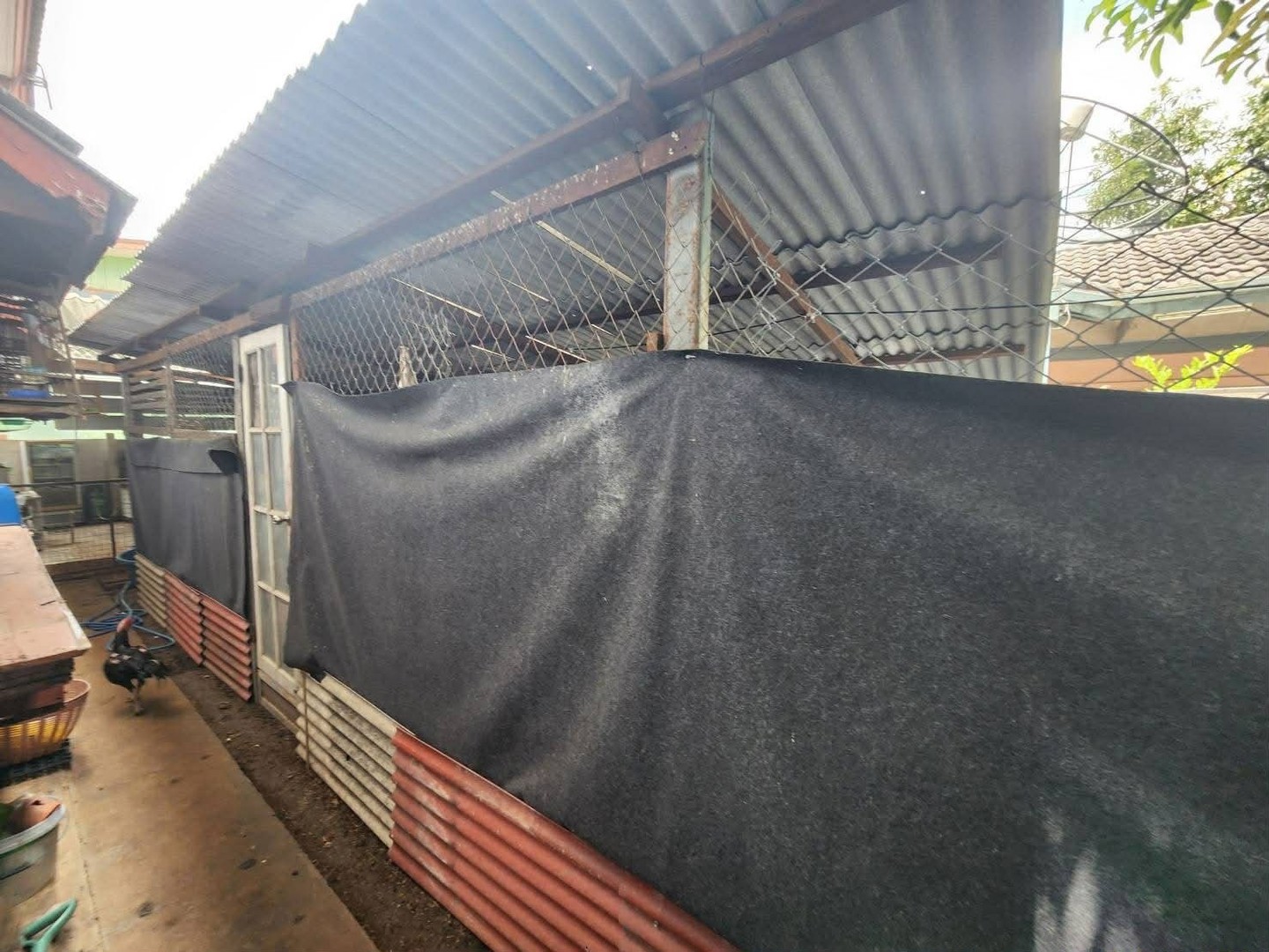 ขายบ้านเดี่ยว-ทำเลสงบ-เป็นส่วนตัว-ซอยพหลโยธิน-64-หลัง-รพ-บีแคร์-หมู่บ้านแข็งขัน-3-งดงาม-3-