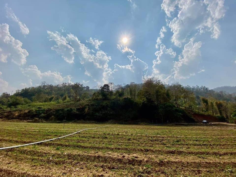 ที่ดินติดลำธาร-ธรรมชาติสุดๆ-บ้านน้ำริน-อสะเมิง-จเชียงใหม่